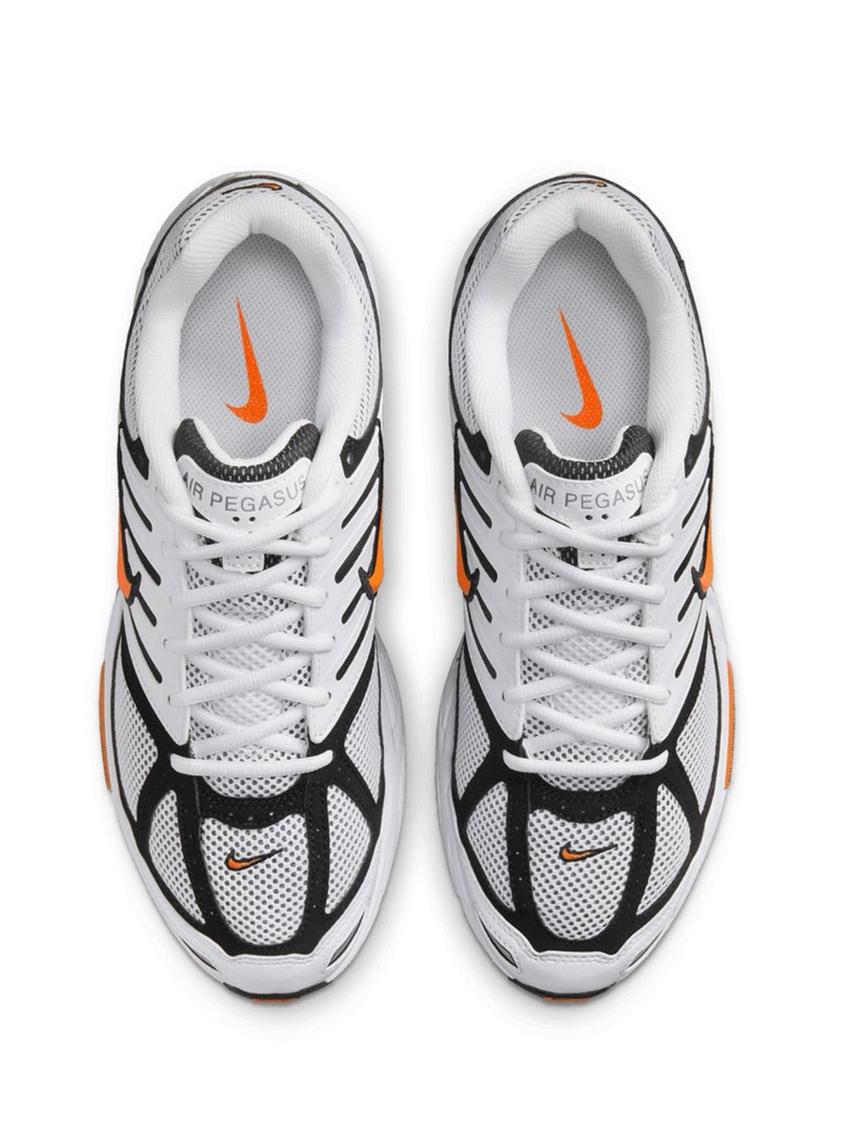 Nike Air Pegasus 2005