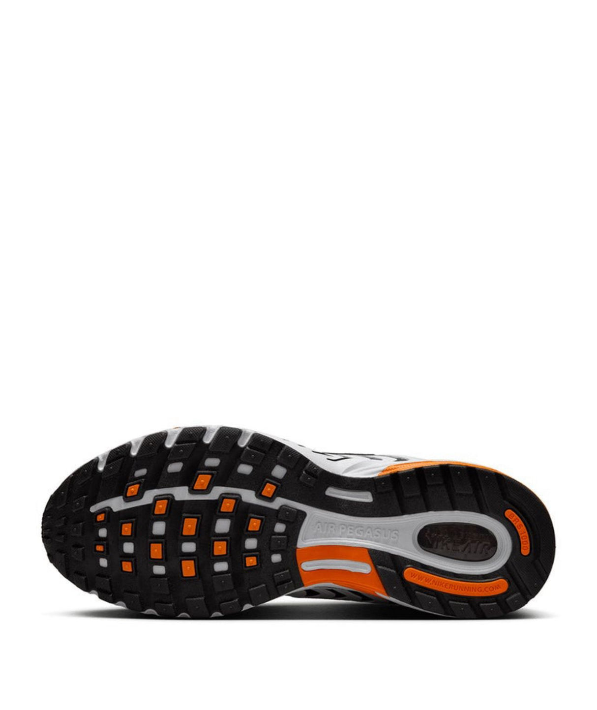 Nike Air Pegasus 2005